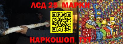 прущие грибы Новозыбков