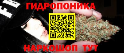 тгк Новокубанск