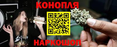 прущие грибы Новозыбков