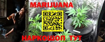 прущие грибы Новозыбков