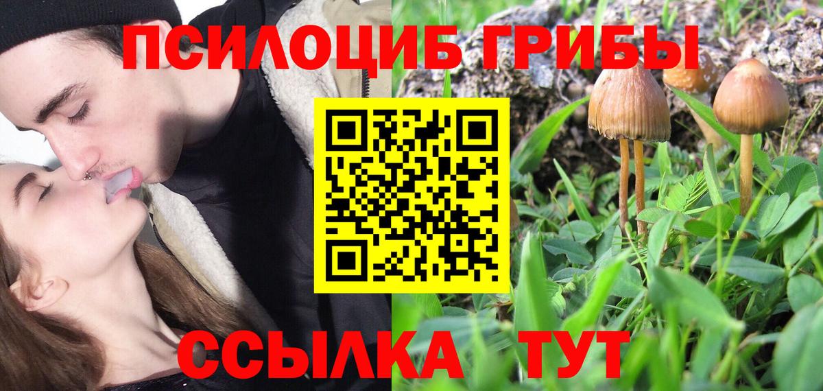 Купить наркотики  МЕТАМФЕТАМИН  Лсд 25  Вход с VPN  Гашиш  ГЕРОИН  Марихуана  Меф МЯУ МЯУ   Усолье-Сибирское  A PVP СК  