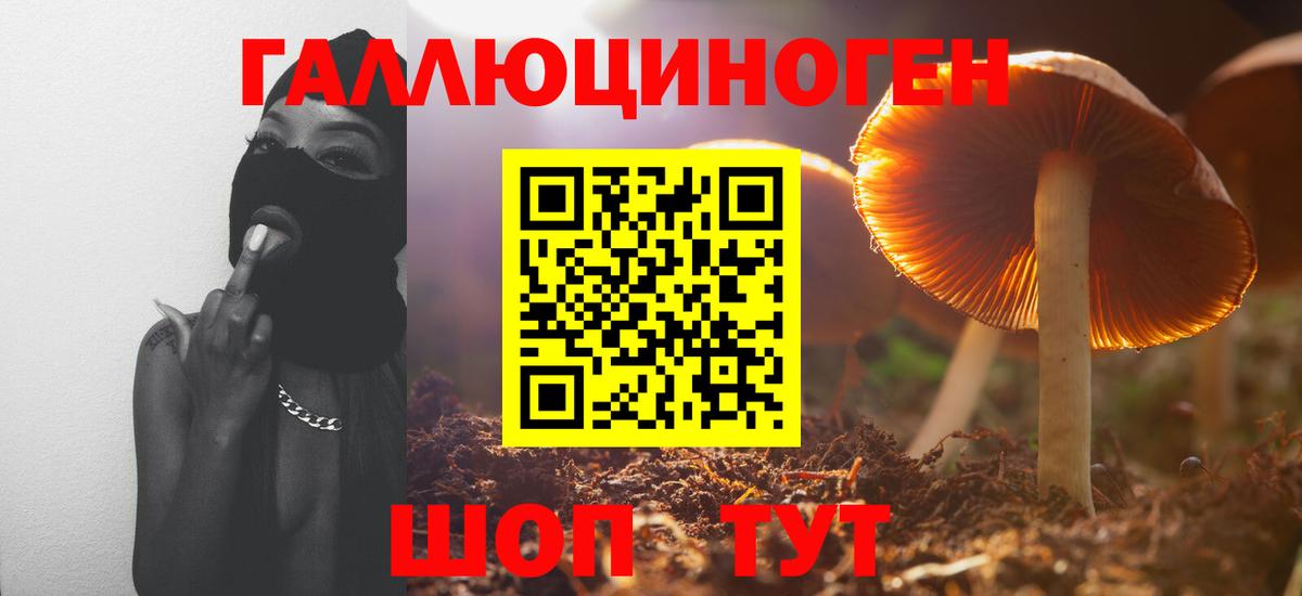 Псилоцибиновые грибы GOLDEN TEACHER Усолье-Сибирское
